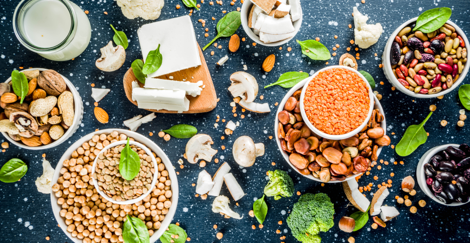 plant-based proteins updates