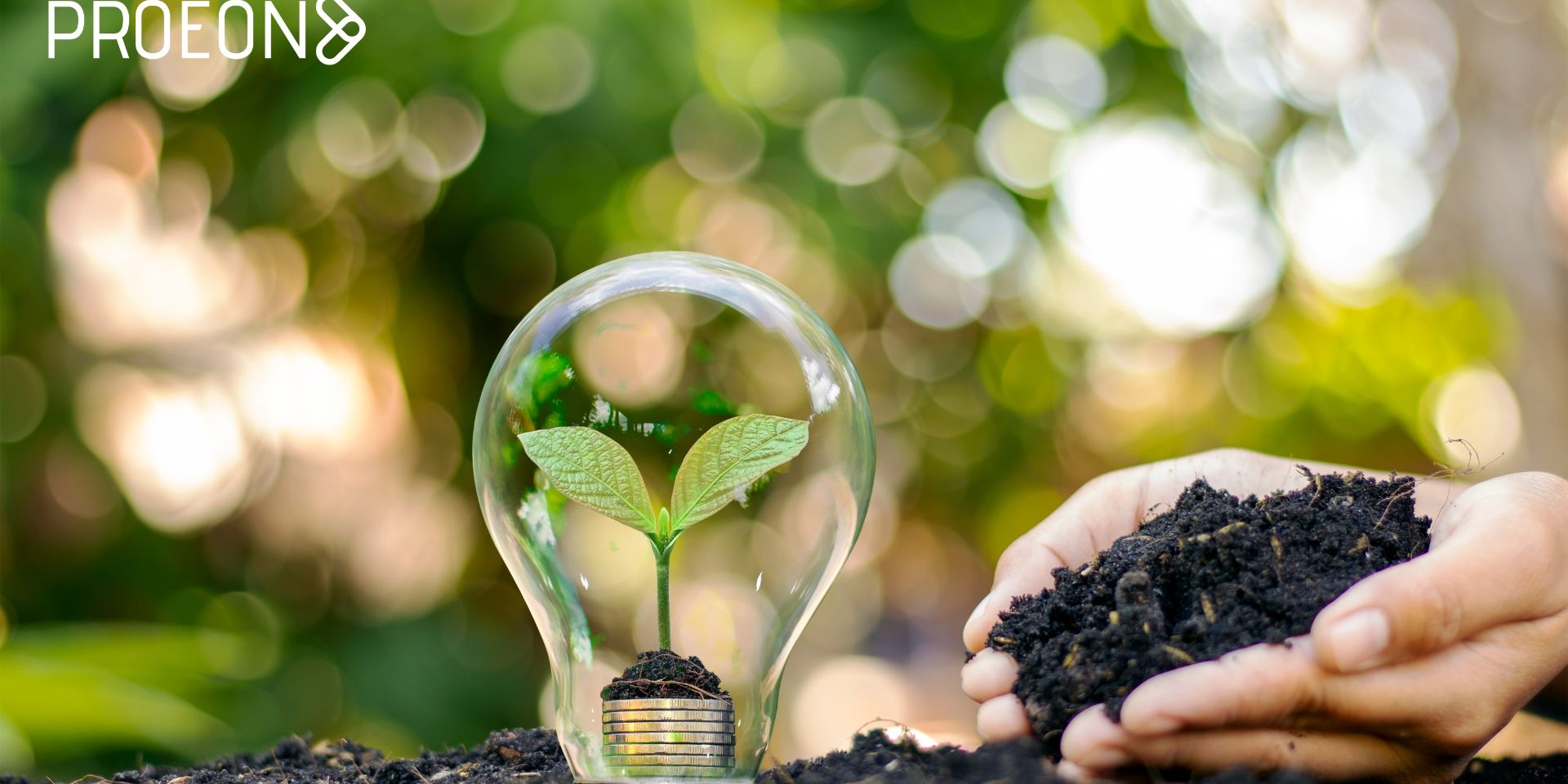 Developing Superior Plant-Based Ingredients